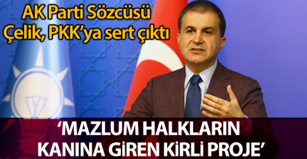 AK Parti Sözcüsü Çelik'ten sert PKK açıklamaları