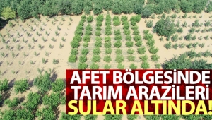 Afet bölgesinde binlerce dönüm tarım arazisi sular altında
