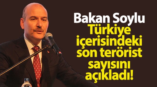 Bakan Soylu, Türkiye içerisindeki son terörist sayısını açıkladı!