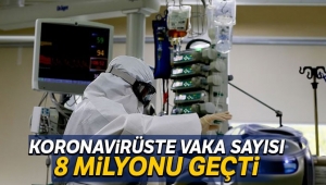 Dünya genelinde vaka sayısı 8 milyonu geçti