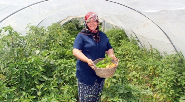 Hataylı kadın çiftçi, organik tarımı için, organik gübre üretti