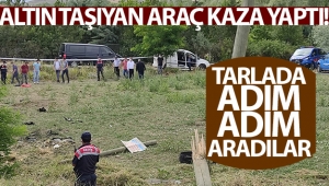 Altın taşıyan araç kaza yaptı, güvenlik güçleri tırmıkla tarlada altın aradı