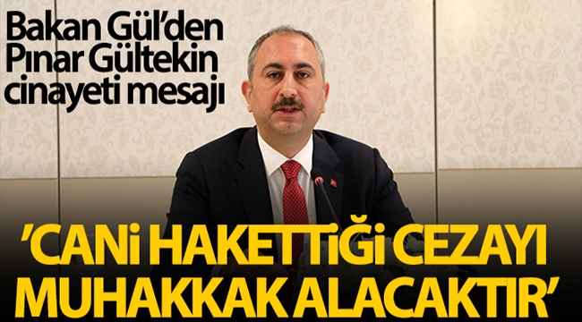 Bakan Gül'den Pınar Gültekin cinayeti mesajı