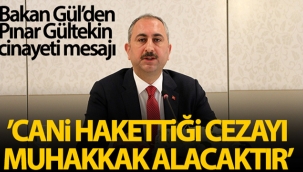 Bakan Gül'den Pınar Gültekin cinayeti mesajı