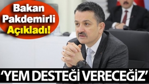 Bakan Pakdemirli açıkladı: