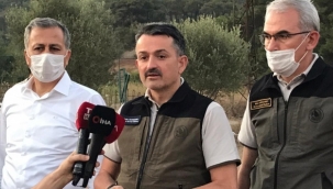 Bakan Pakdemirli'den Heybeliada açıklaması