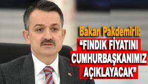 Bakan Pakdemirli: