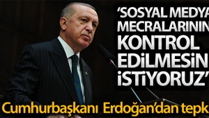 Cumhurbaşkanı Erdoğan'dan çok sert sosyal medya açıklaması