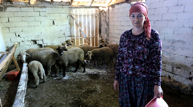 İki üniversite bitirip 4 dil konuşan Rus kadın Bursa'da hayvancılık yapıyor