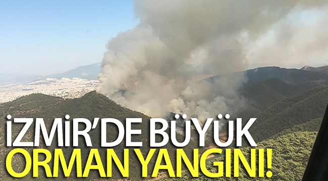 İzmir'in Balçova ilçesinde orman yangını!