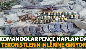 Komandolar Pençe-Kaplan'da teröristlerin inlerine giriyor