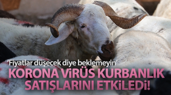 Korona virüs kurbanlık satışlarını etkiledi