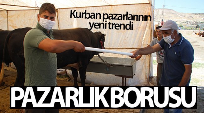 Kurban pazarlarının yeni trendi: Pazarlık borusu