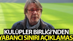 Mehmet Sepil'den yabancı sınırlaması açıklaması