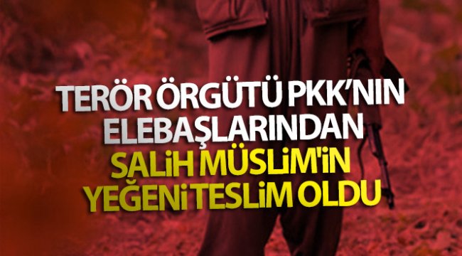 Terör örgütü PKK'nın elebaşlarından Salih Müslim'in yeğeni teslim oldu