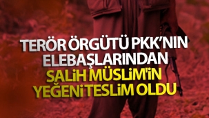 Terör örgütü PKK'nın elebaşlarından Salih Müslim'in yeğeni teslim oldu