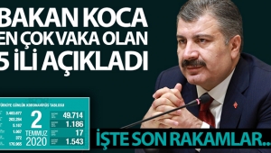 Bakan Koca en çok vaka olan 5 ili açıkladı