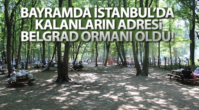 Bayramda İstanbul'da kalanların adresi Belgrad Ormanı oldu!