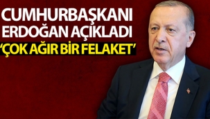 Cumhurbaşkanı Erdoğan'dan Giresun'daki sel felaketine ilişkin açıklama