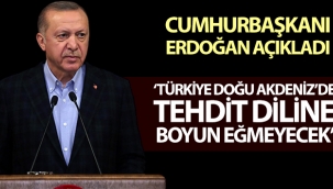 Cumhurbaşkanı Erdoğan: Türkiye, bilhassa Doğu Akdeniz'de...