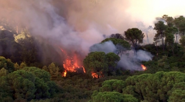 İstanbul Valiliği: 'Maltepe'deki orman yangını kontrol altına alındı'