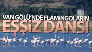 Köylüler, Yunanistan'ın burnunun dibine dev Türk bayrağı dikti