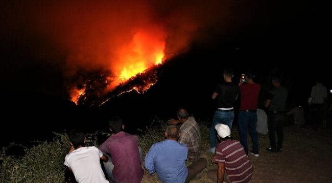 Manisa'da çıkan orman yangını kısmen kontrol altına alındı