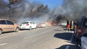 Seferihisar'daki yangın araçlara sıçradı