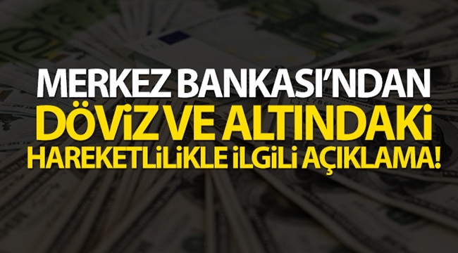 Merkez Bankası'ndan döviz ve altındaki hareketlilikle ilgili açıklama!