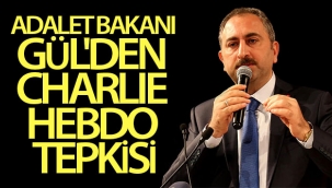 Bakan Gül'den Fransız dergisi Charlie Hebdo'ya tepki
