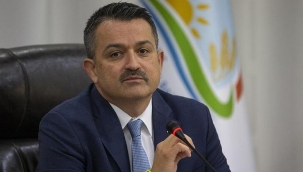 Bakan Pakdemirli: '115 bin tohum koruma altında'