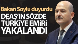 Bakan Soylu duyurdu: DEAŞ'ın sözde Türkiye emiri yakalandı ve tutuklandı