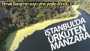İstanbul'da ürküten manzara