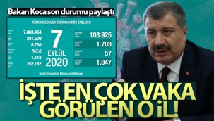 İşte En Çok Vaka Görülen O İl!