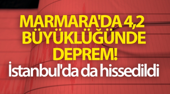 Marmara'da deprem! İstanbul'da da hissedildi