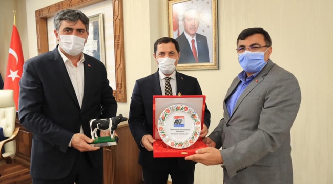 Merkez Birliği Heyeti Amasya Valisi Mustafa Masatlı ve Amasya DSYB'yi Ziyaret Etti
