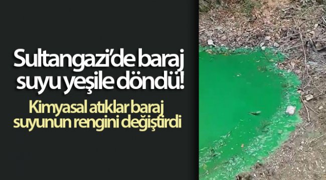 Sultangazi'de baraj suyu yeşile döndü