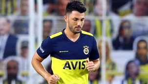 Tolgay Arslan, Hannover yolunda