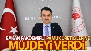 Bakan Pakdemirli, pamuk üreticilerine müjdeyi verdi