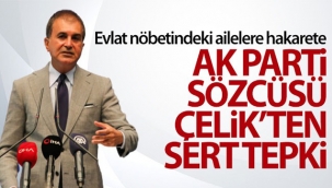 Çelik, Diyarbakır annelerine hakaret eden HDP'li Tosun'u kınadı
