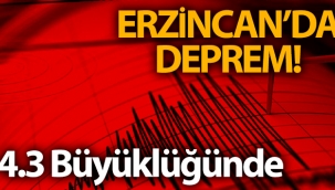 Erzincan'da 4.3 büyüklüğünde deprem