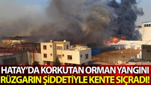 Hatay'da korkutan orman yangını