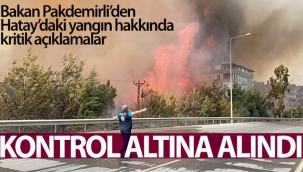 Bakan Pakdemirli'den Hatay'daki orman yangını hakkında kritik açıklamalar