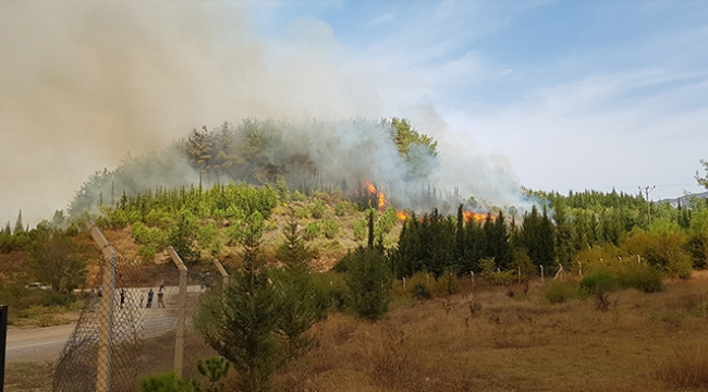 Kahramanmaraş'ta 4 ayrı noktada yangın çıktı