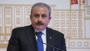 TBMM Başkanı Şentop: 'Ermenistan artık küresel bir sorundur'