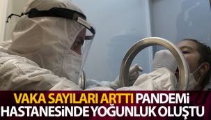 Vaka sayıları arttı, pandemi hastanesinde yoğunluk oluştu