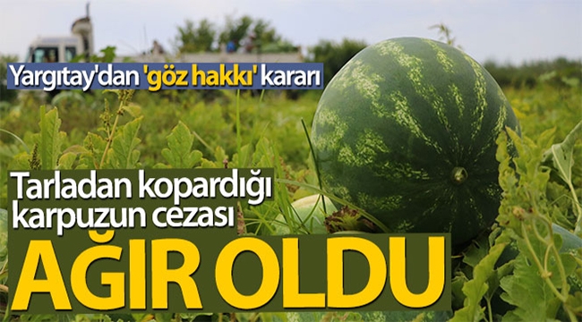Yargıtay'dan göz hakkı ve karpuz kararı