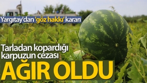Yargıtay'dan göz hakkı ve karpuz kararı