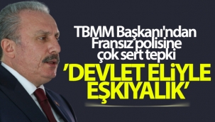 TBMM Başkanı Şentop'tan Fransa'ya çok sert tepki