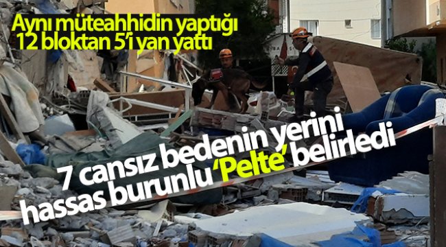 Yan yatan 3 binadaki 7 cansız bedenin yerini hassas burunlu 'Pelte' belirledi